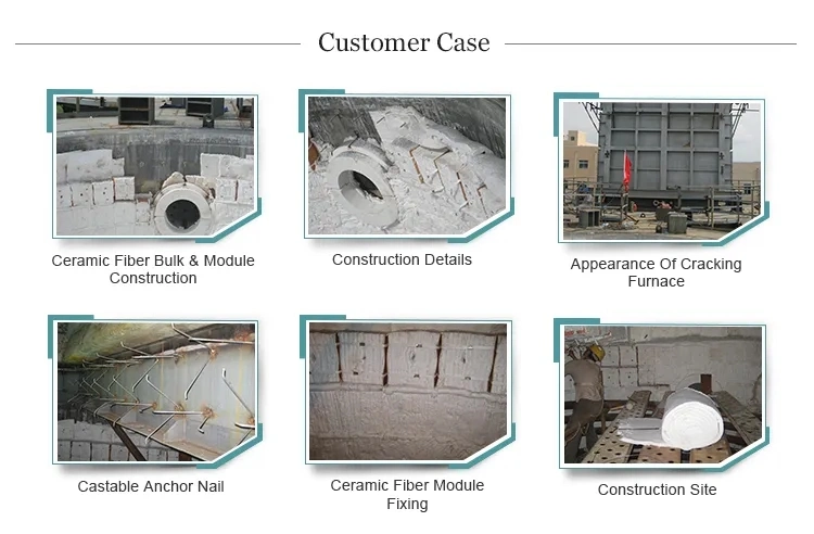 Material Raw High Temperature Refractory Bio Soluble Ceramic Fiber Bulk Heat Insulation Material Price